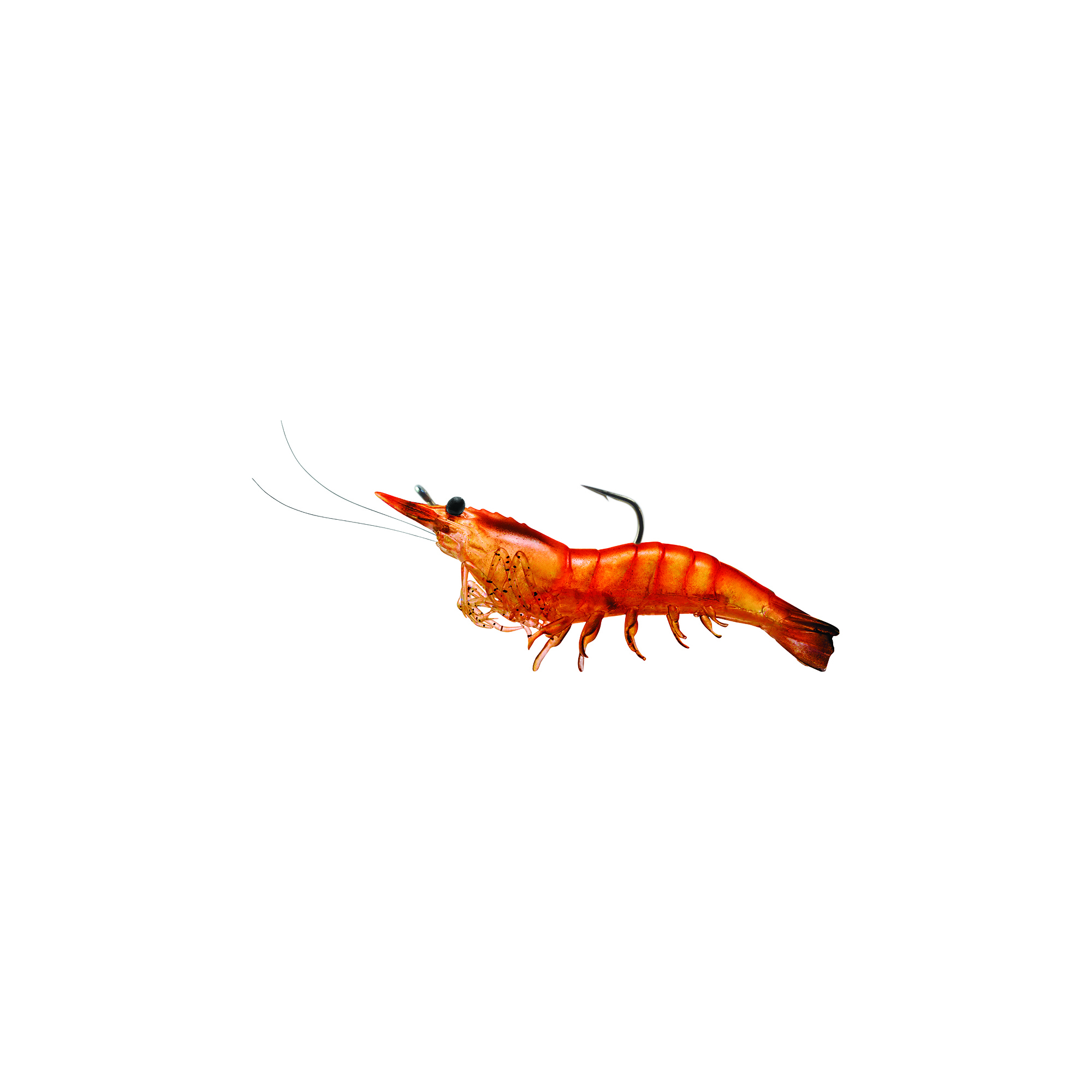 LiveTarget Shrimp 4'' PreRig