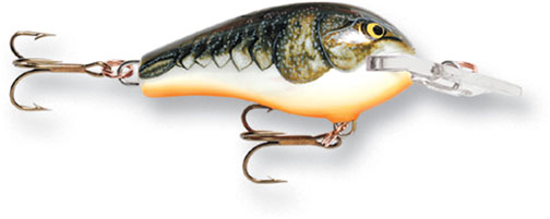 Rapala Fat Rap 5