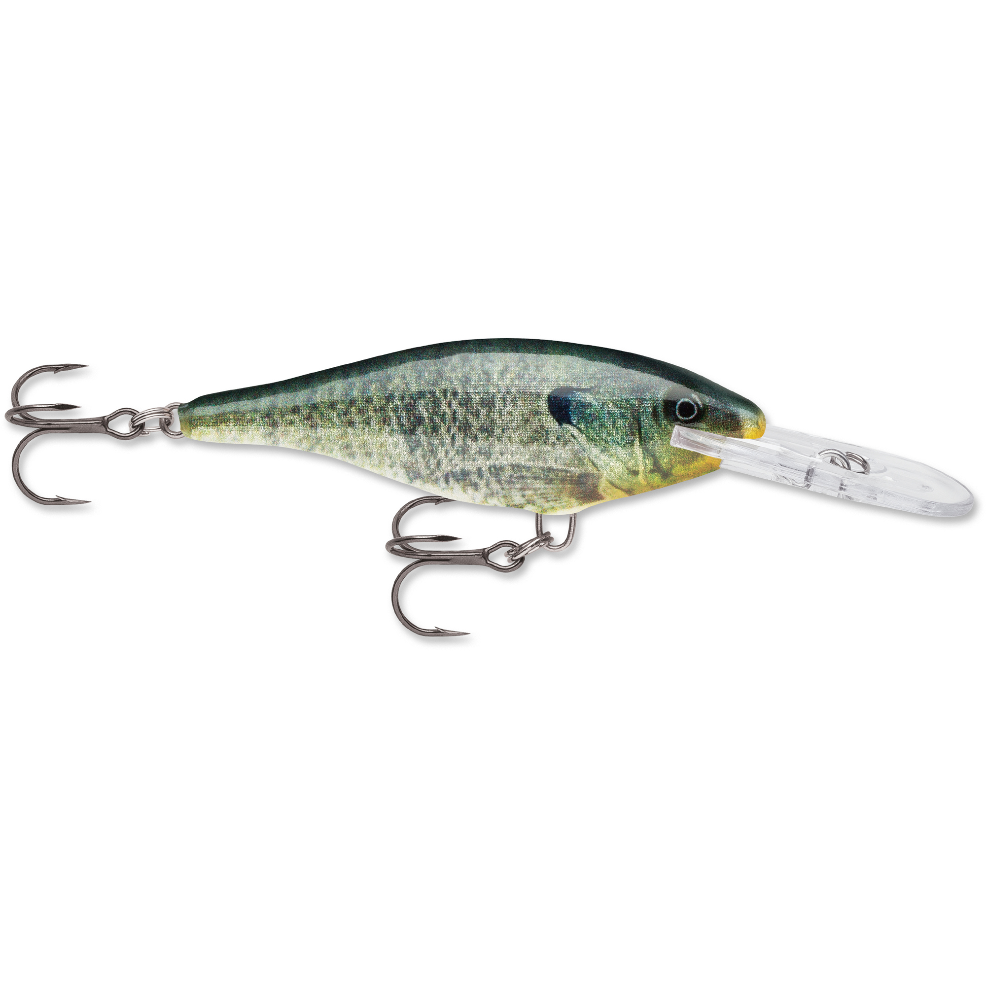 Rapala Shad Rap 05 Live