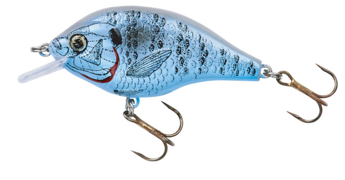 https://www.windingcreekbait.com/store_content/products_media/5dae043518492.jpg