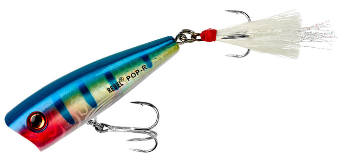 https://www.windingcreekbait.com/store_content/products_media/5dae04356f5da.jpg