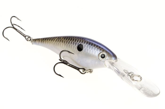 Strike King (LMM316CI-590GS) Lil' Mr Money Spinnerbait Colorado Indiana  Fishing Lure, 590 - Sexy Shad, 3/16 oz, Large Indiana Blade and Small  Colorado